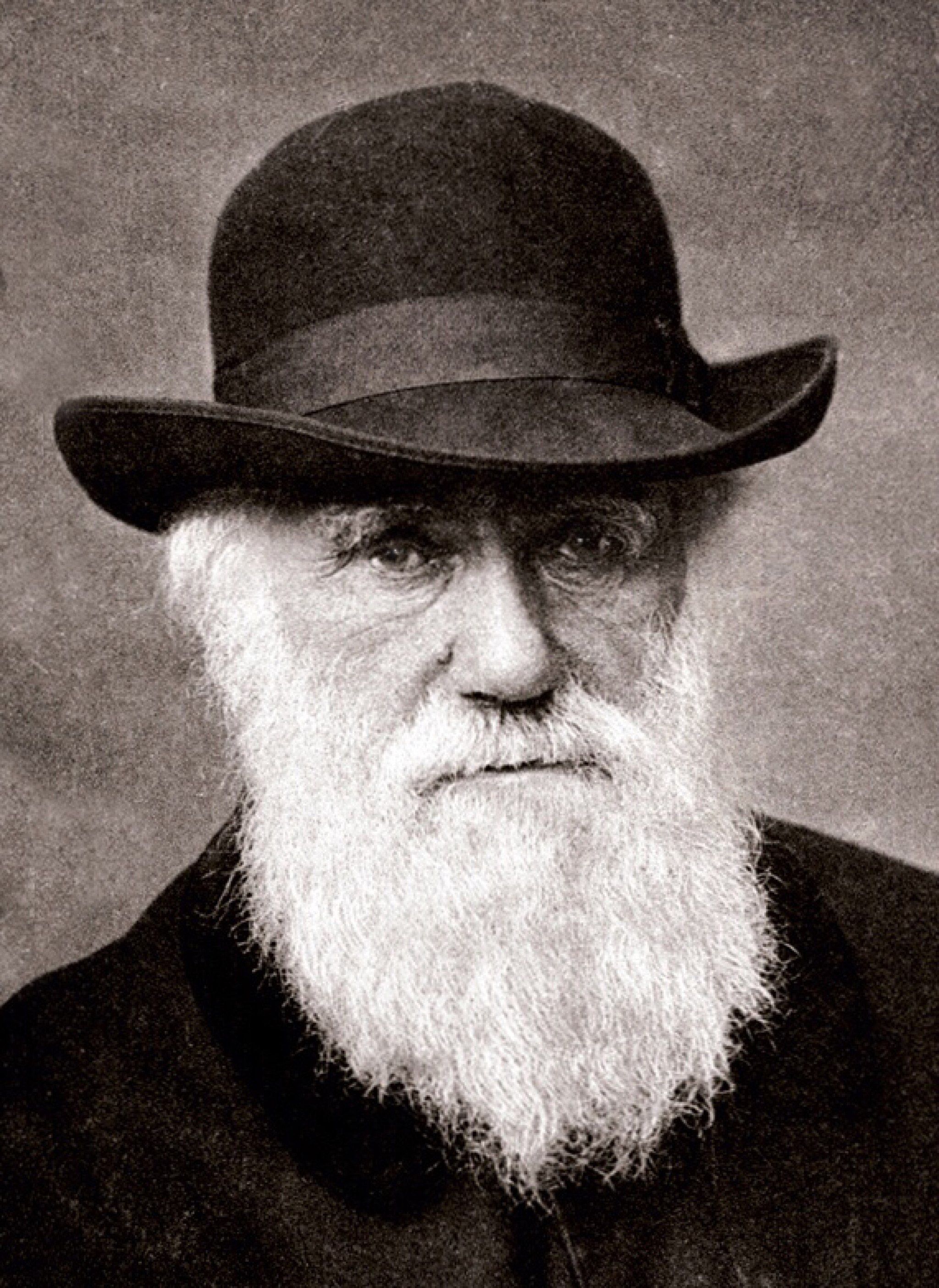 Charles Darwin 1880