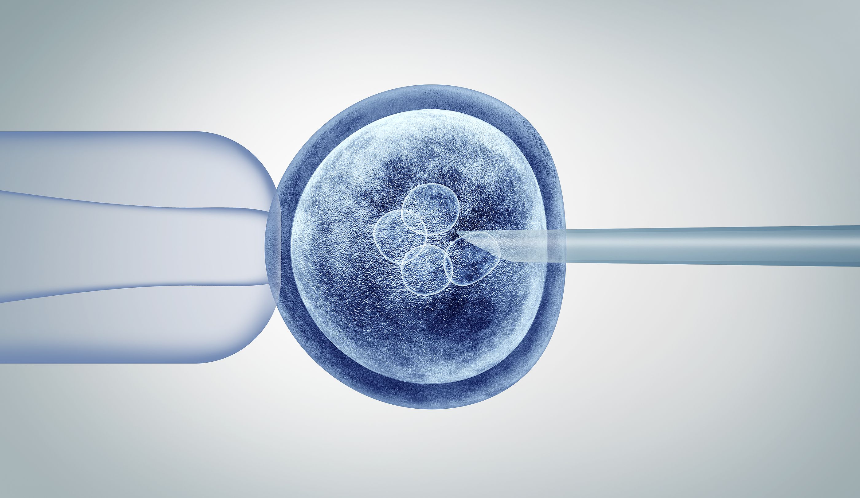 Embriones abandonados: España acumula 668.000 congelados y la mitad no tiene un destino. bigstock Genetic Editing And Gene Resea 272046718