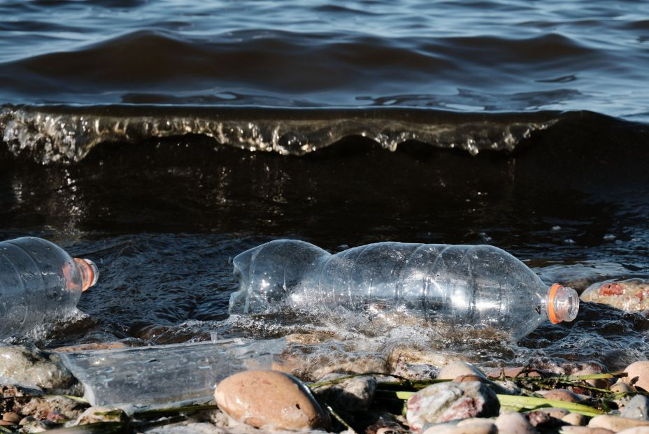 MarinaInfo: la app con la que puedes contribuir a la protección de la biodiversidad marina