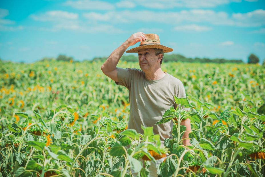 Vida en el campo