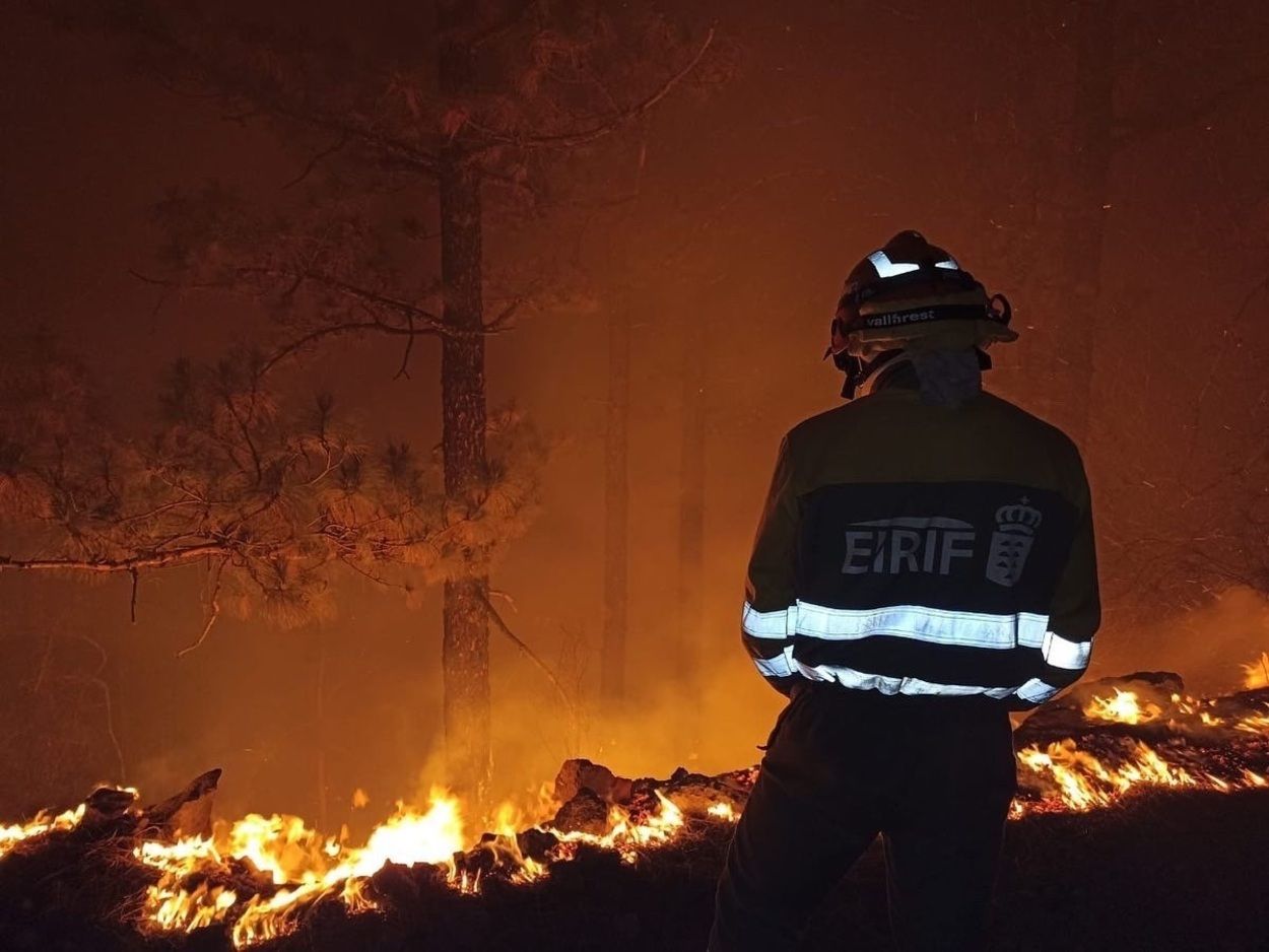 El cambio climático aumentó el riesgo de grandes incendios forestales en 2023