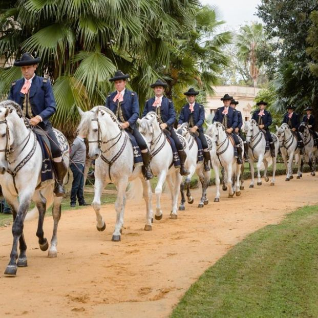 La Plaza de Toros de Málaga acoge la Gala de Verano de la Real Escuela Andaluza del Arte Ecuestre