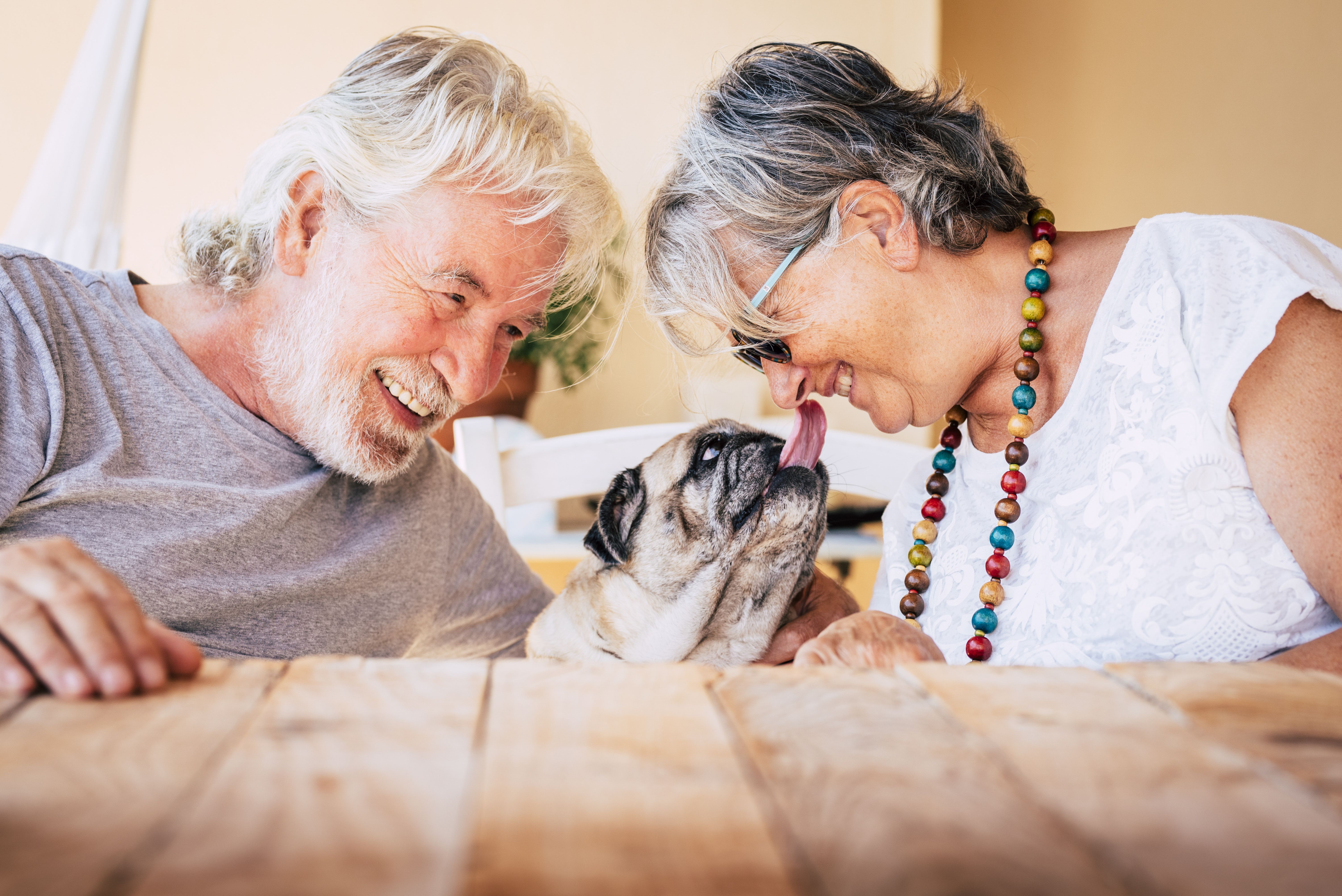 Por qué clasificamos a los animales en "amigos", "comida" y "por los que merece la pena luchar"