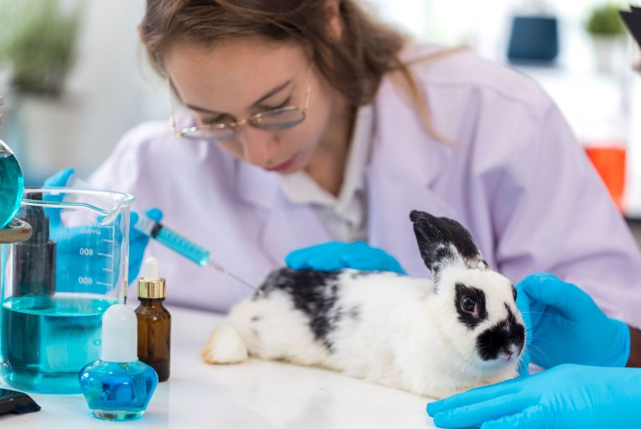 Científica testando en un conejo