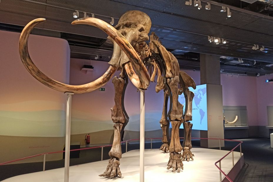 Esqueleto de mamut en la exposición de Sevilla