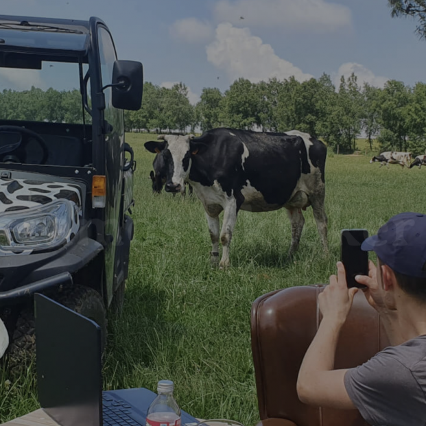 Una granja ofrece 2.000 euros por ser ‘tiktoker’ de vacas