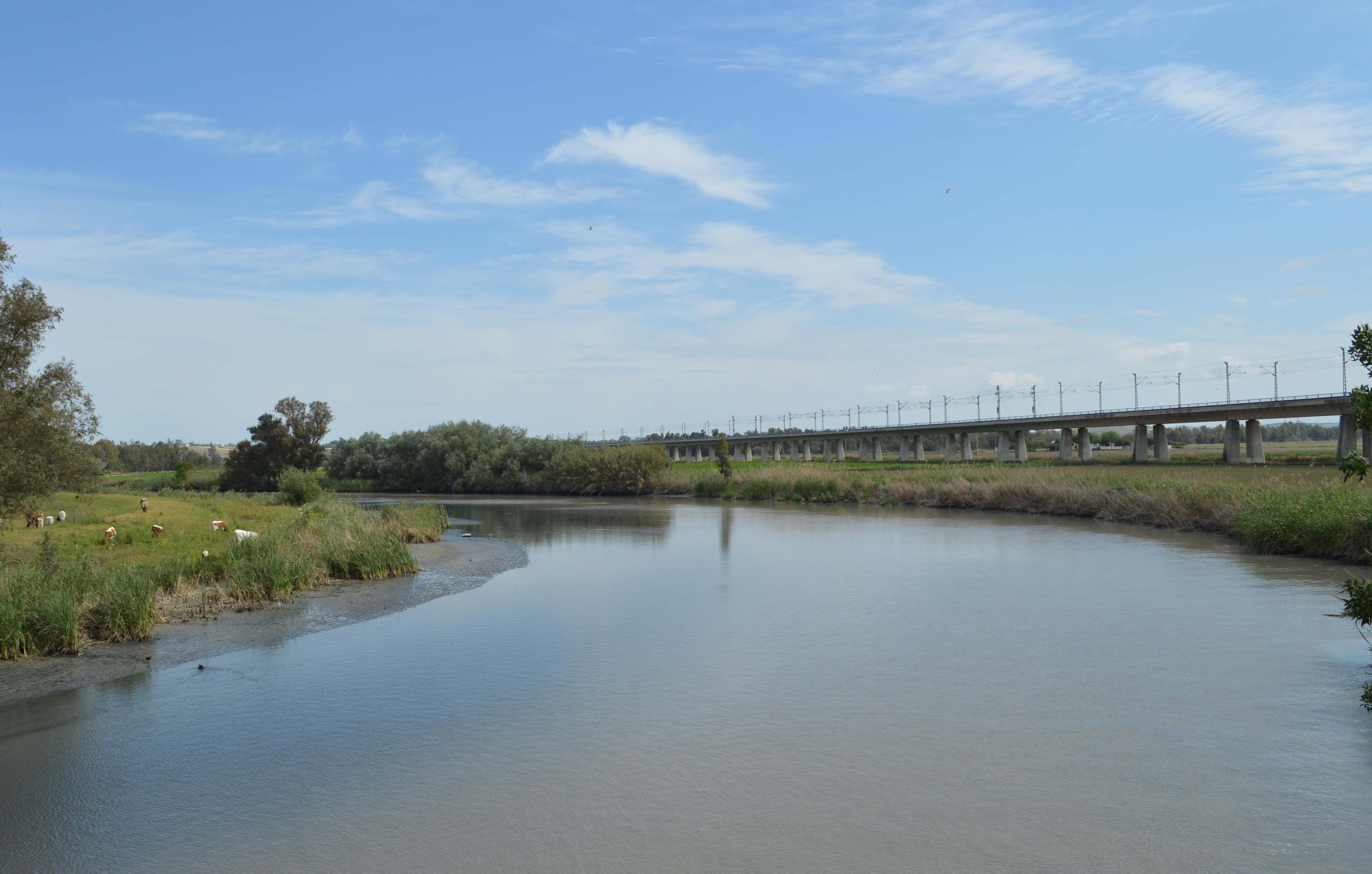 Muere ahogado un joven de 23 años cuando se bañaba con amigos en el río