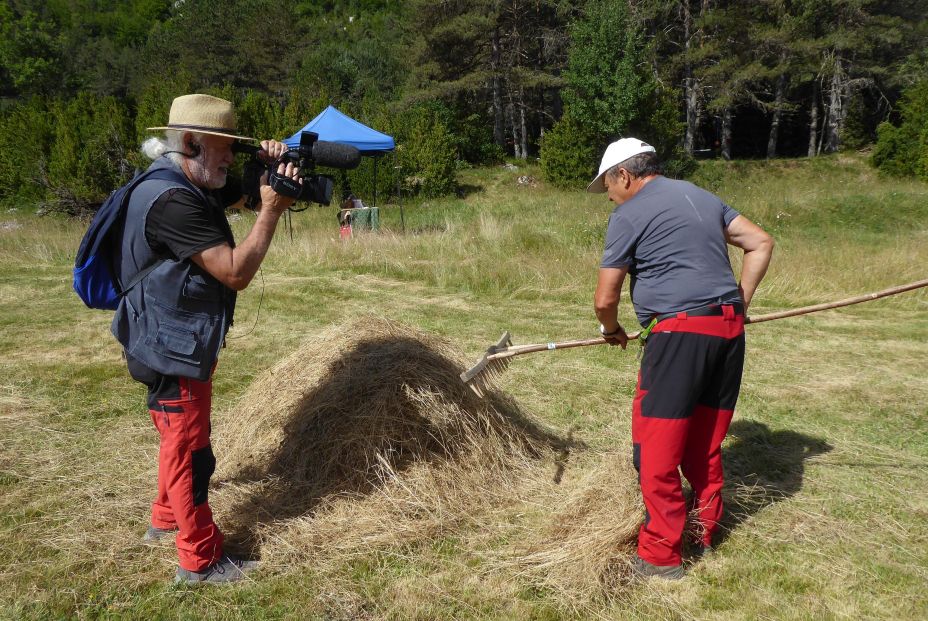 La hierba en el Pirineo