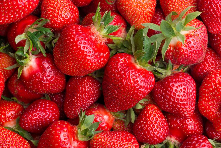 Los beneficios de las fresas para la salud