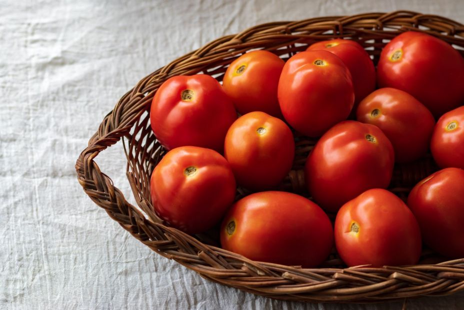 El truco infalible para conservar los tomates en perfecto estado según la ciencia