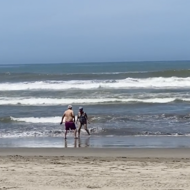 VÍDEO: El tierno momento entre una pareja en la playa que ha conquistado a millones. Foto: TikTok