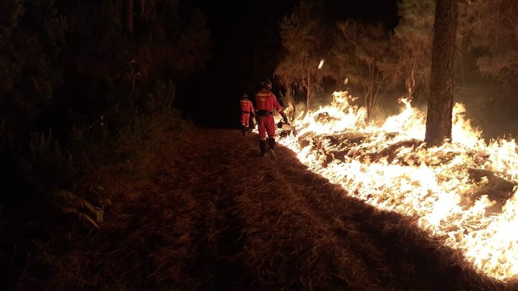 EuropaPress 5383554 efectivos ume trabajando incendio forestal arafo tenerife