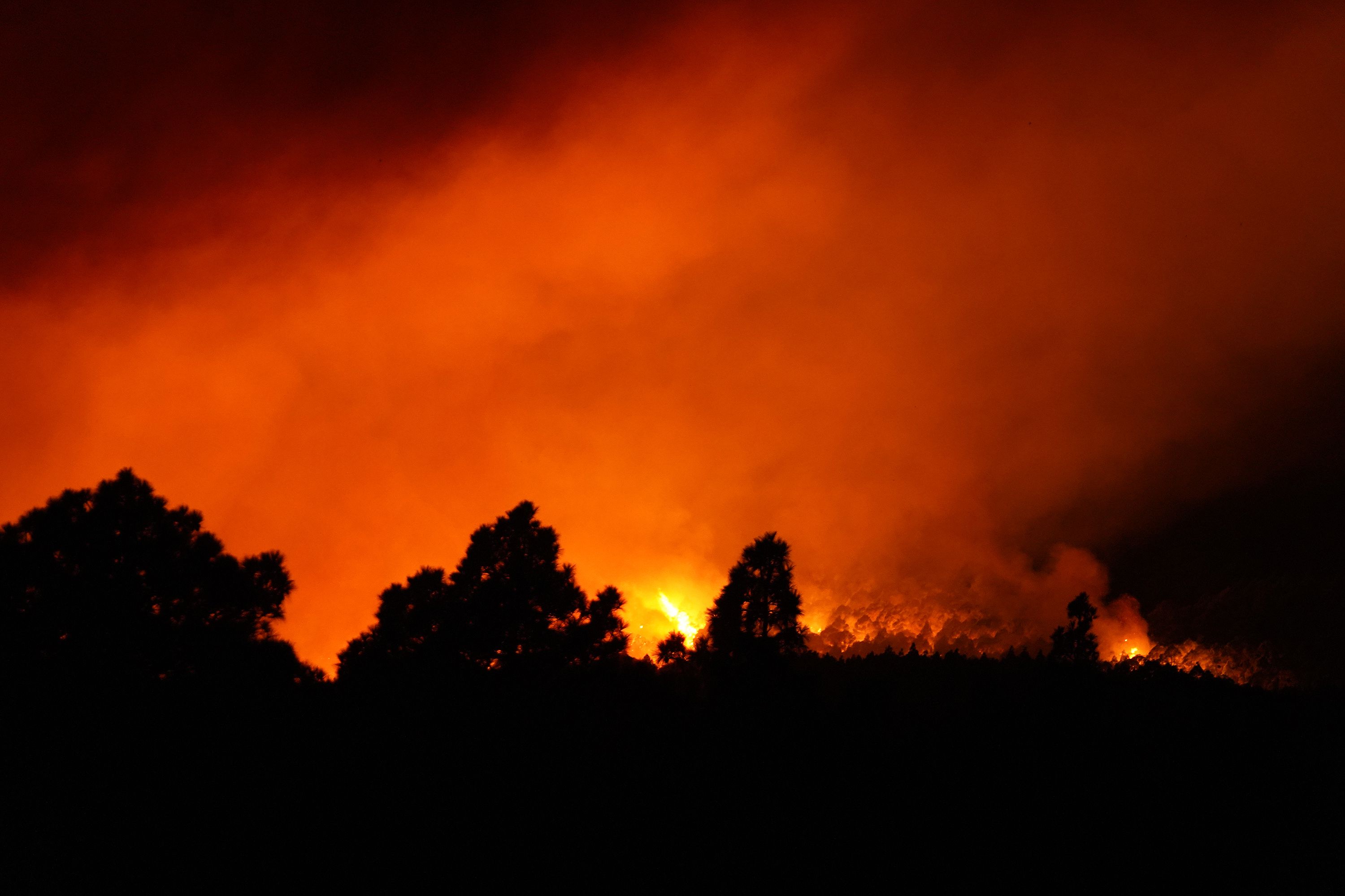 El incendio de Tenerife avanza sin control y ya ha arrasado 1.800 hectáreas