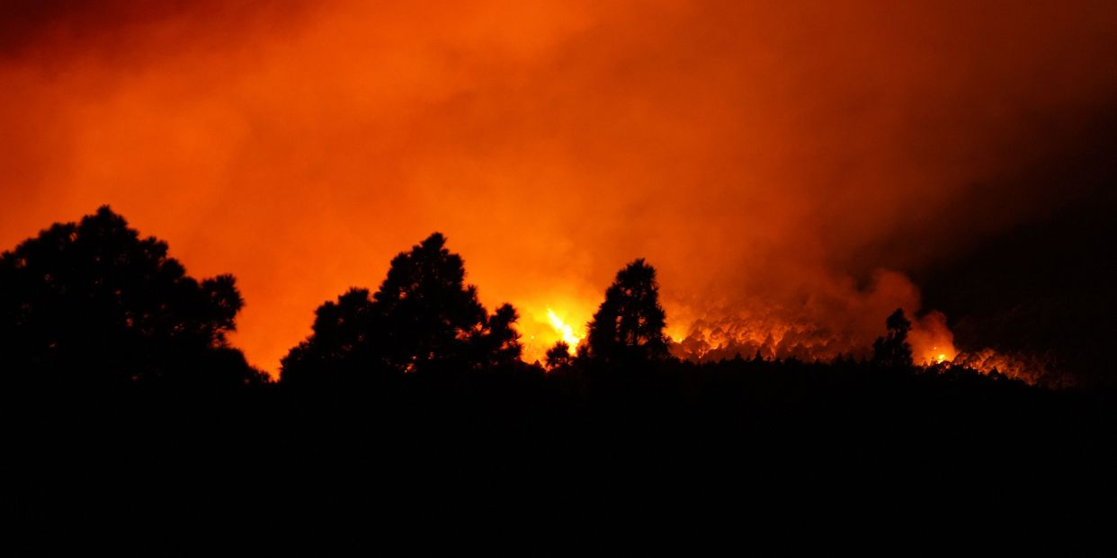 El Incendio De Tenerife Avanza Sin Control 3903