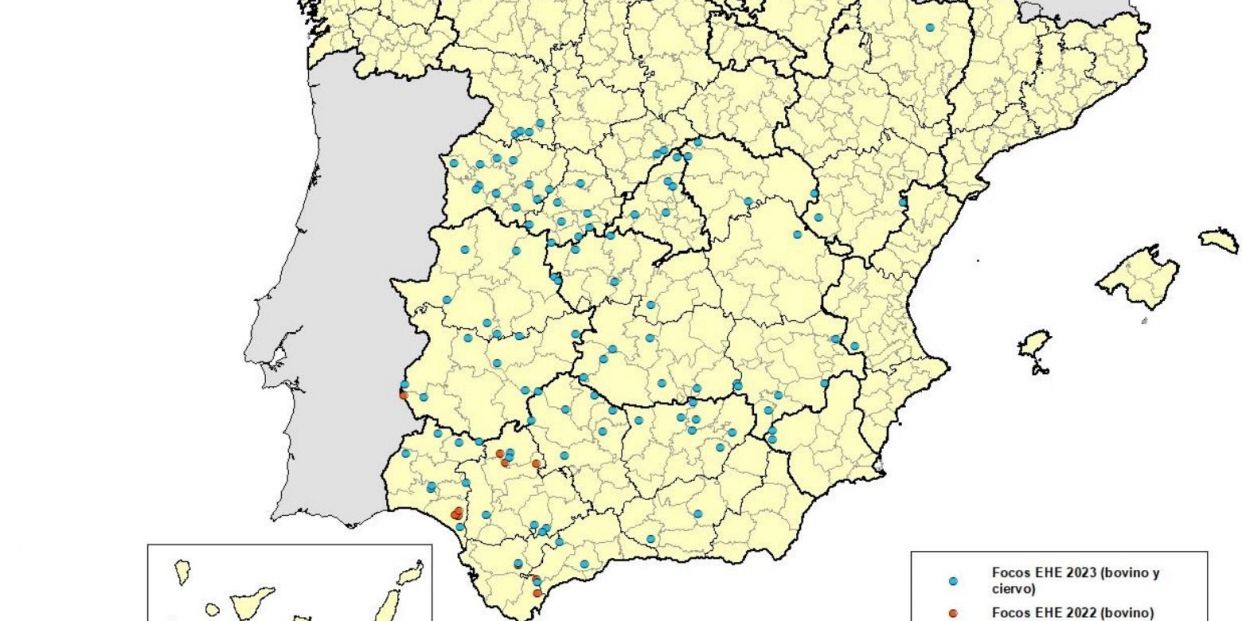 mapa covid vaca
