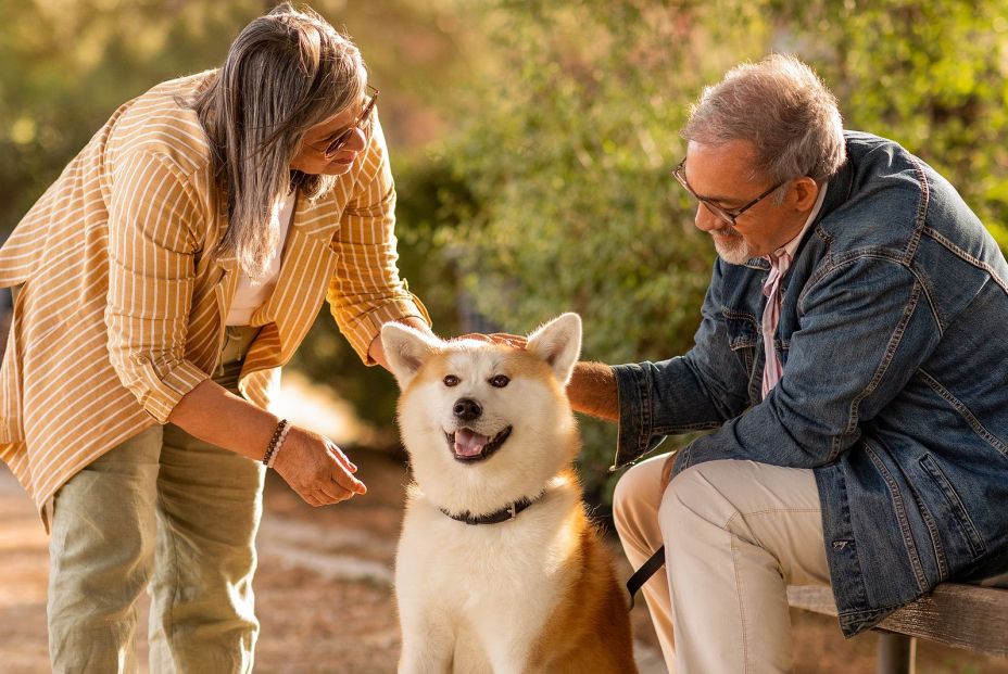 Se recomienda revisar las pólizas por la entrada en vigor de la Ley de Bienestar Animal