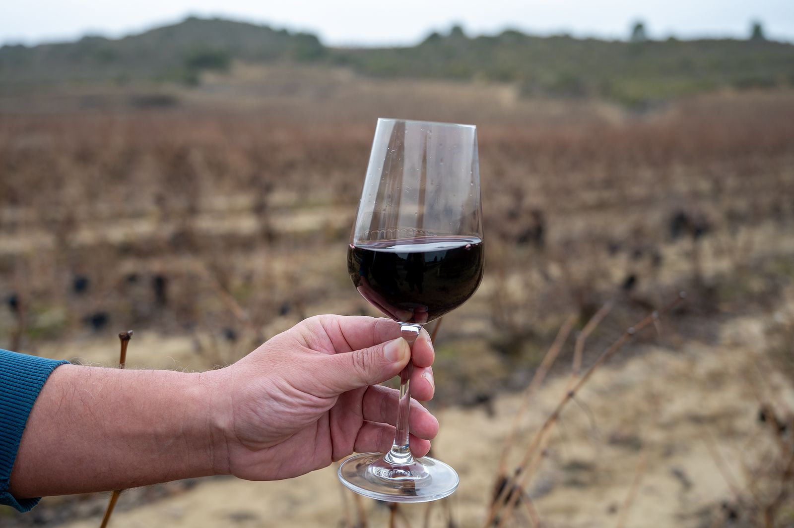 El vino español que conquista a los críticos de todo el mundo