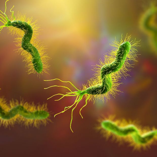 La edad no afecta a la eficacia del tratamiento para eliminar el 'Helicobacter pylori'