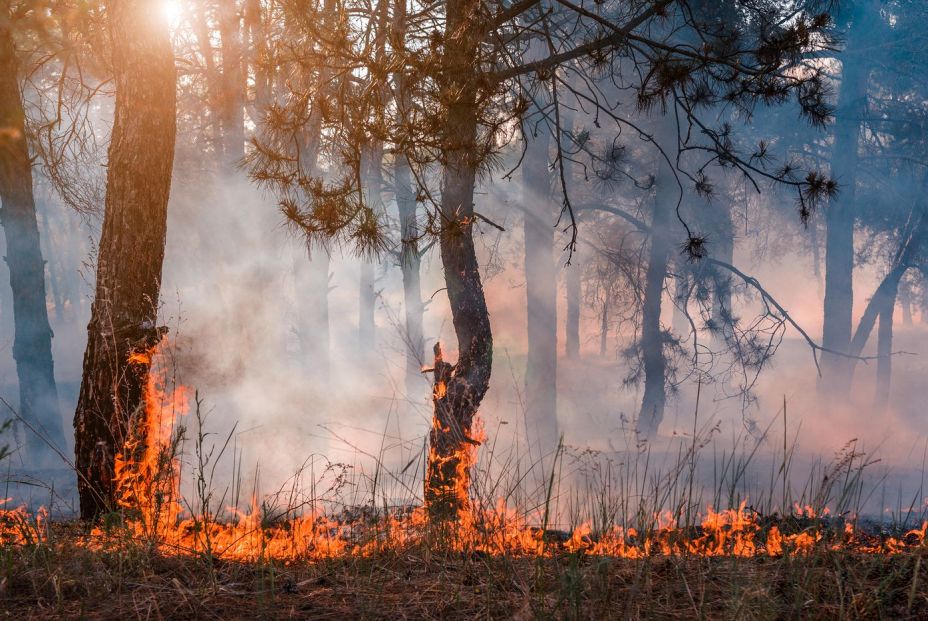 España, segundo país mediterráneo con más incendios cada año