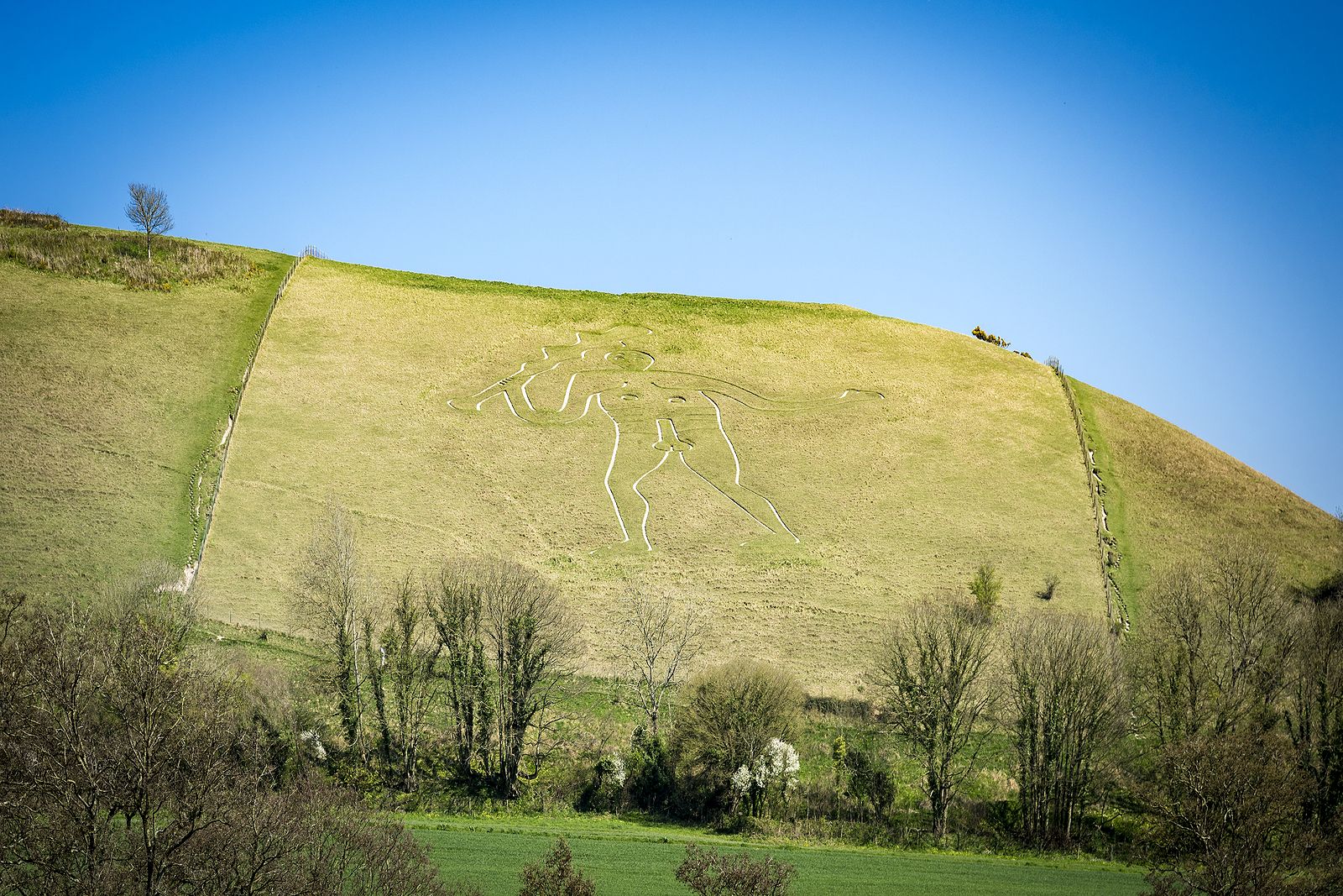 Nuevos hallazgos sobre el origen del Gigante de Cerne Abbas