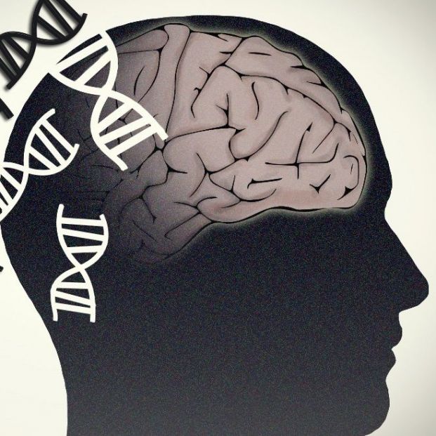 Dibujo sobre la importancia genética en la enfermedad de Parkinson. Fuente: Europa Press