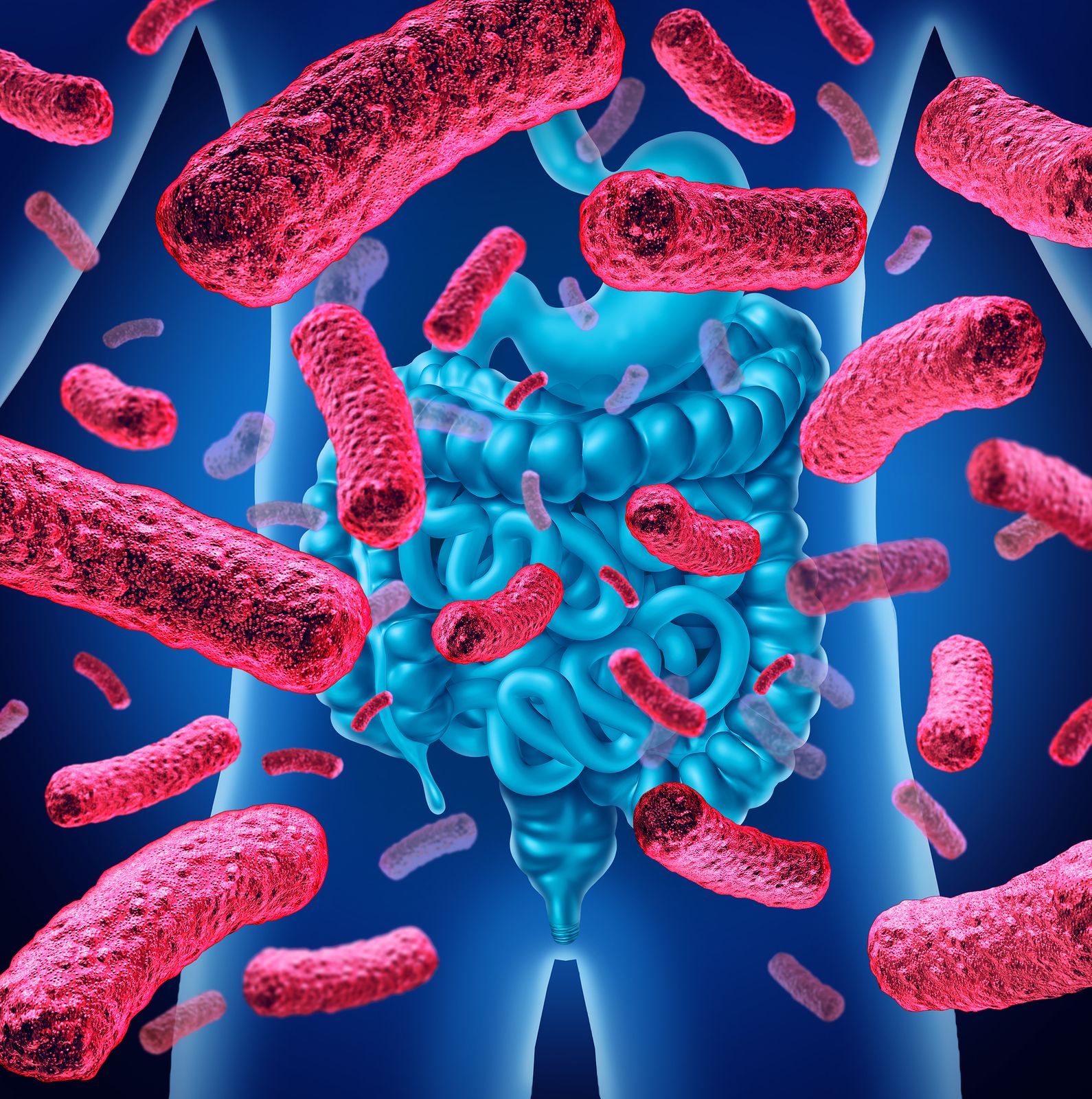 El Secreto De La Longevidad En La Flora Intestinal