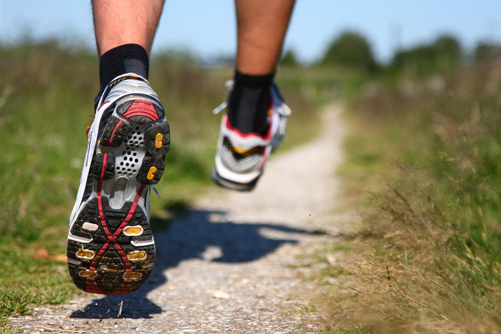 Correr un maratón reduce el contenido de mielina en el cerebro