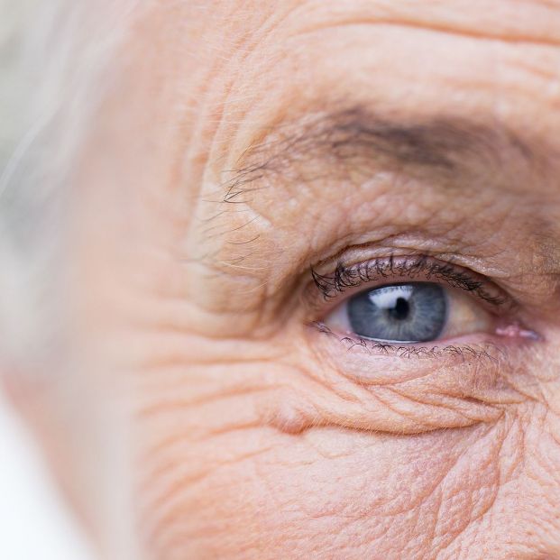 Un nuevo tratamiento podría ser la cura definitiva para las enfermedades degenerativas de la retina(Big Stock)