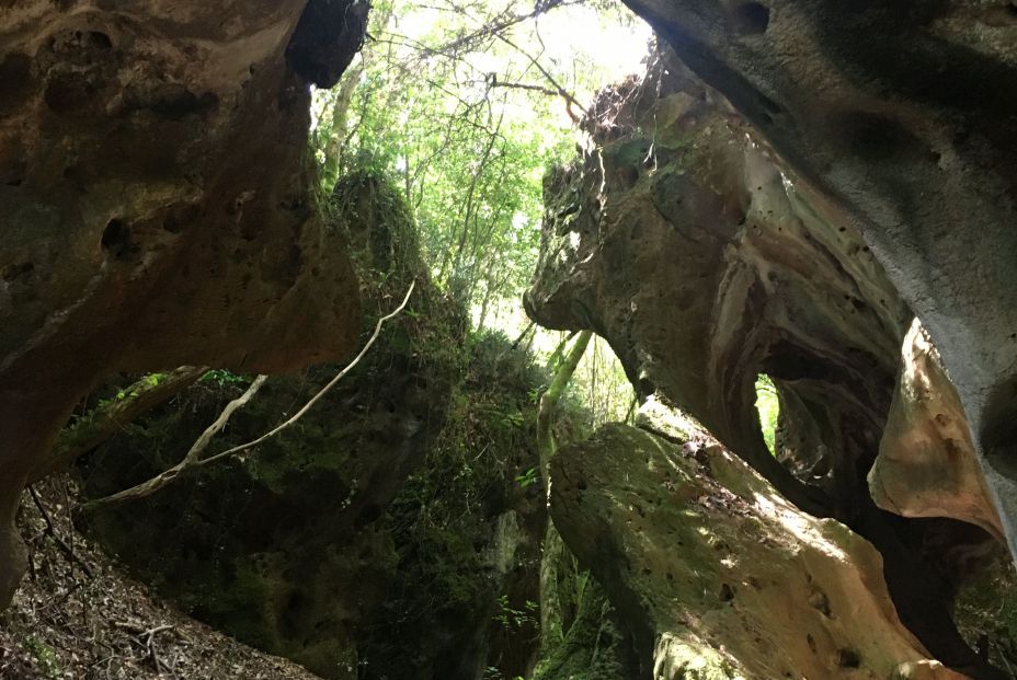 Cuevas de Andina