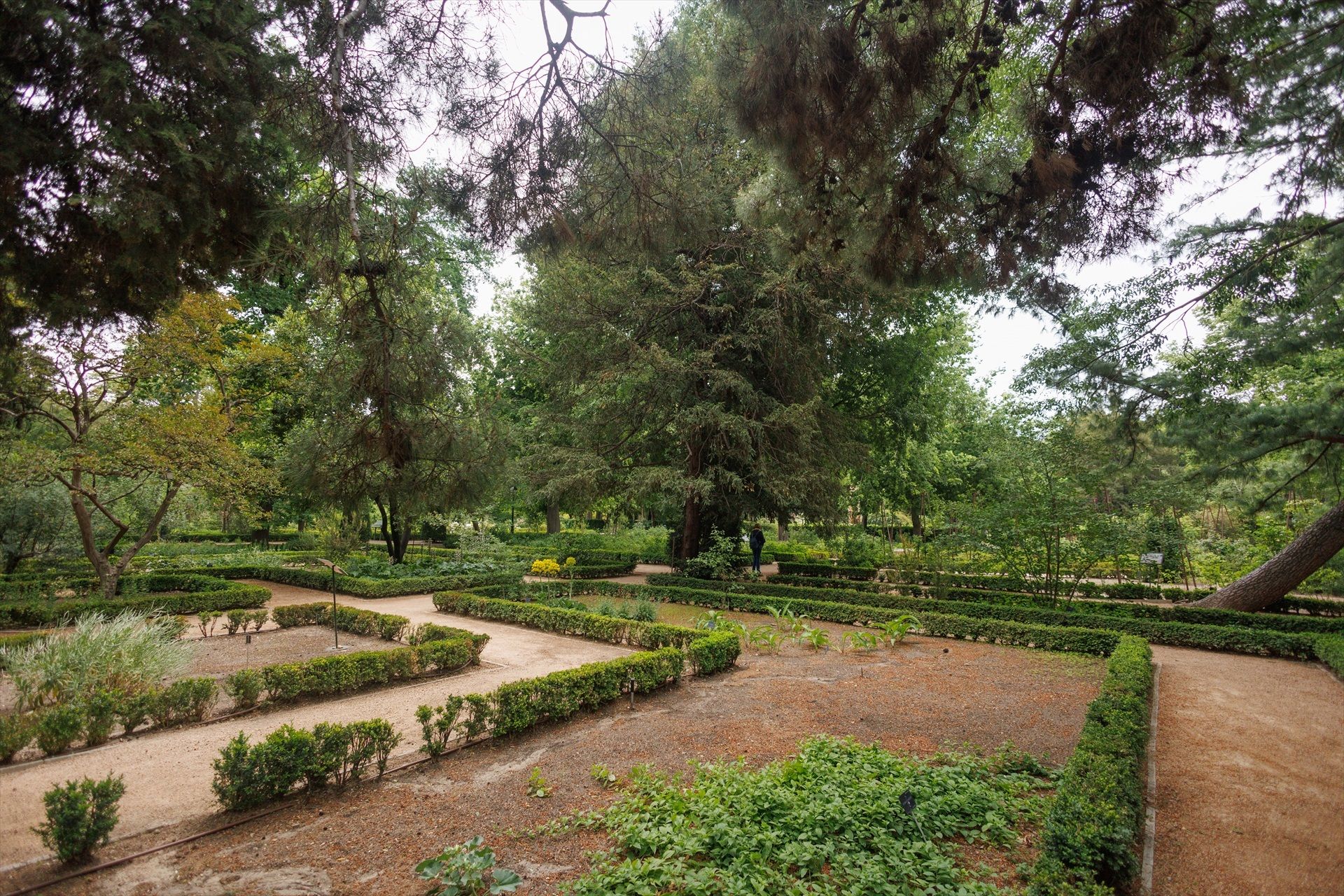 El Real Jardín Botánico se sumerge en la cultura agraria de Al-Ándalus: visitas guiadas en junio (Europa Press)