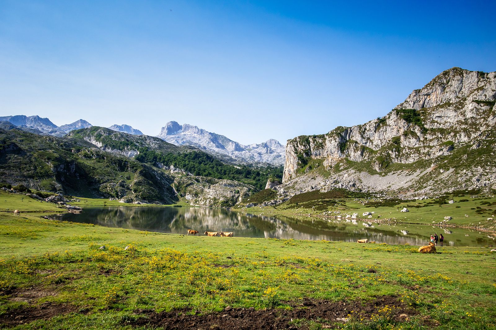 Guía para visitar Covadonga, sus lagos y alrededores (Bigstock)