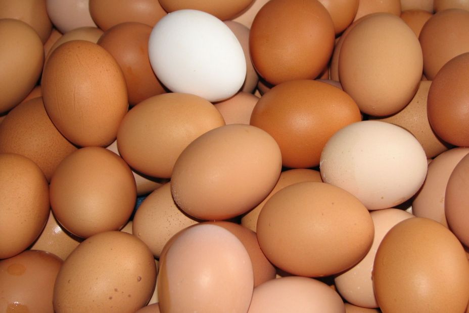 Los mejores huevos que puedes encontrar en el supermercado, según la OCU (Bigstock)