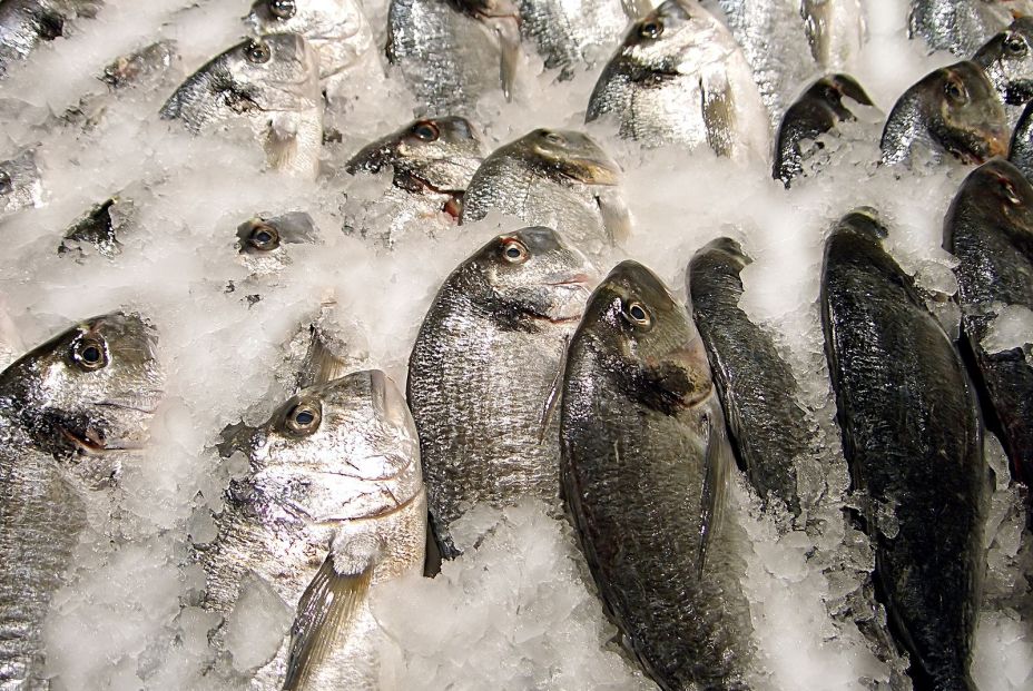 Estos son los tres pescados que los expertos recomiendan no consumir