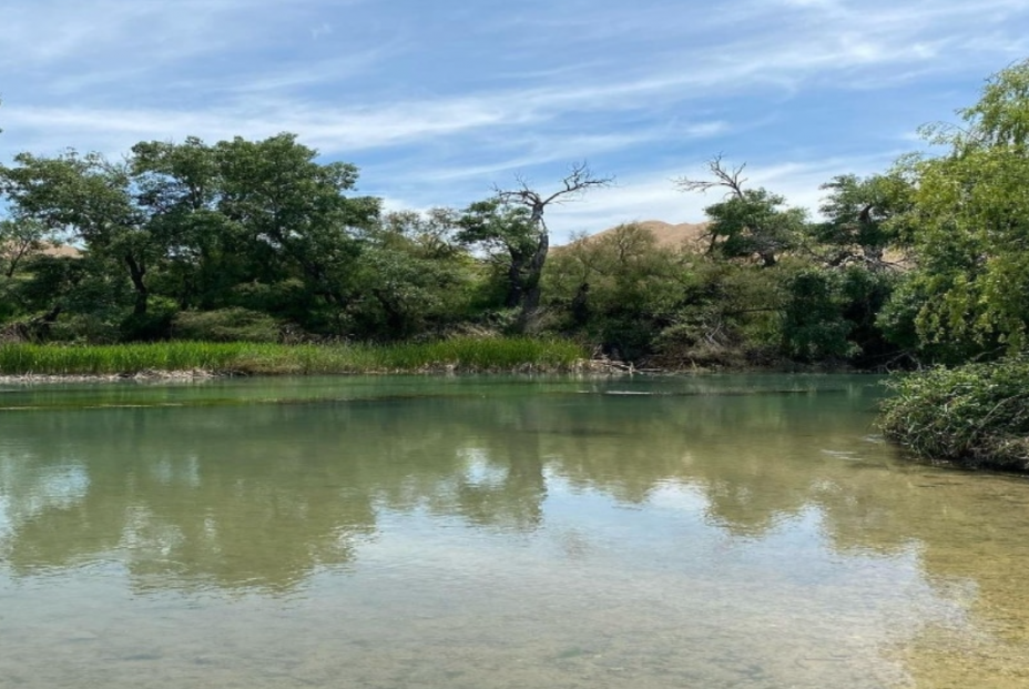 Las piscinas naturales de la Comunidad de Madrid donde darse un chapuzón este verano (Madrid Secreto)