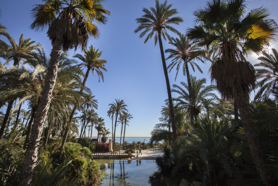 Actividades gratuitas para personas mayores en Alicante (Alicante Turismo)