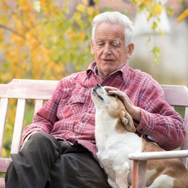 Descubre todo lo que una mascota puede hacer por tu salud mental y física