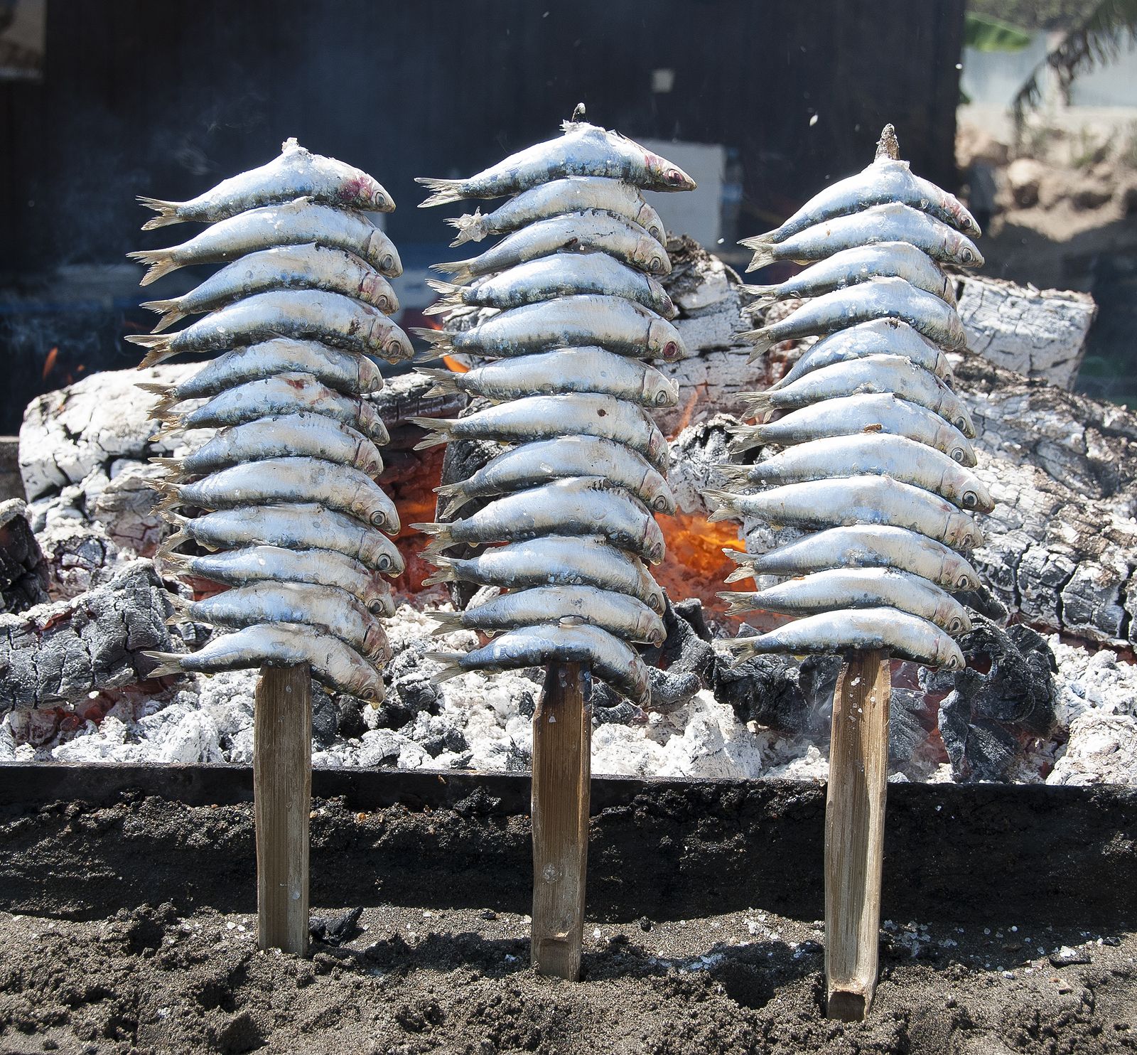 Comer pescados pequeños, como las sardinas, enteros puede prolongar la vida