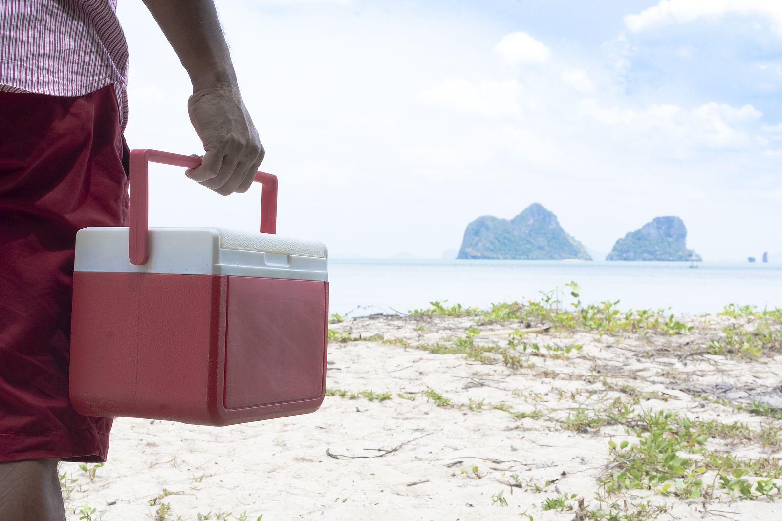 Los errores que cometes con la comida que te llevas a la playa (Big Stock)