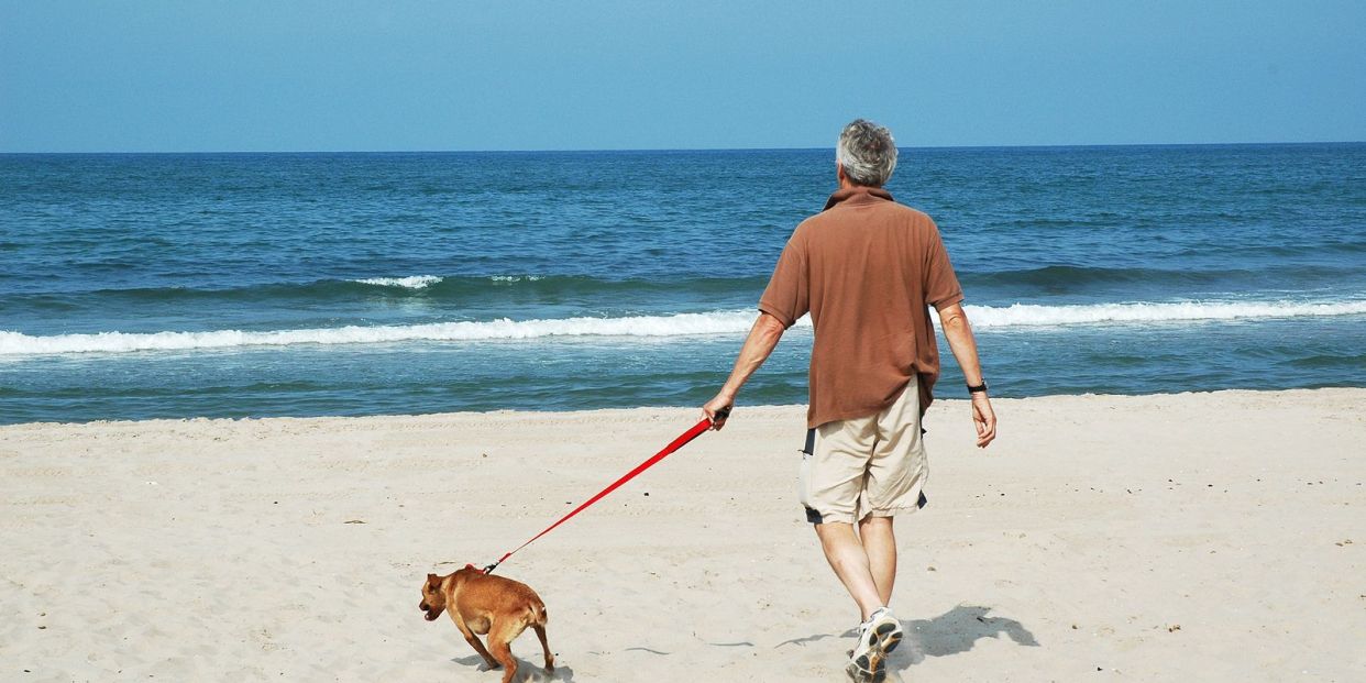 El olor del estrés humano afecta a las emociones de los perros, según un estudio (Big Stock)