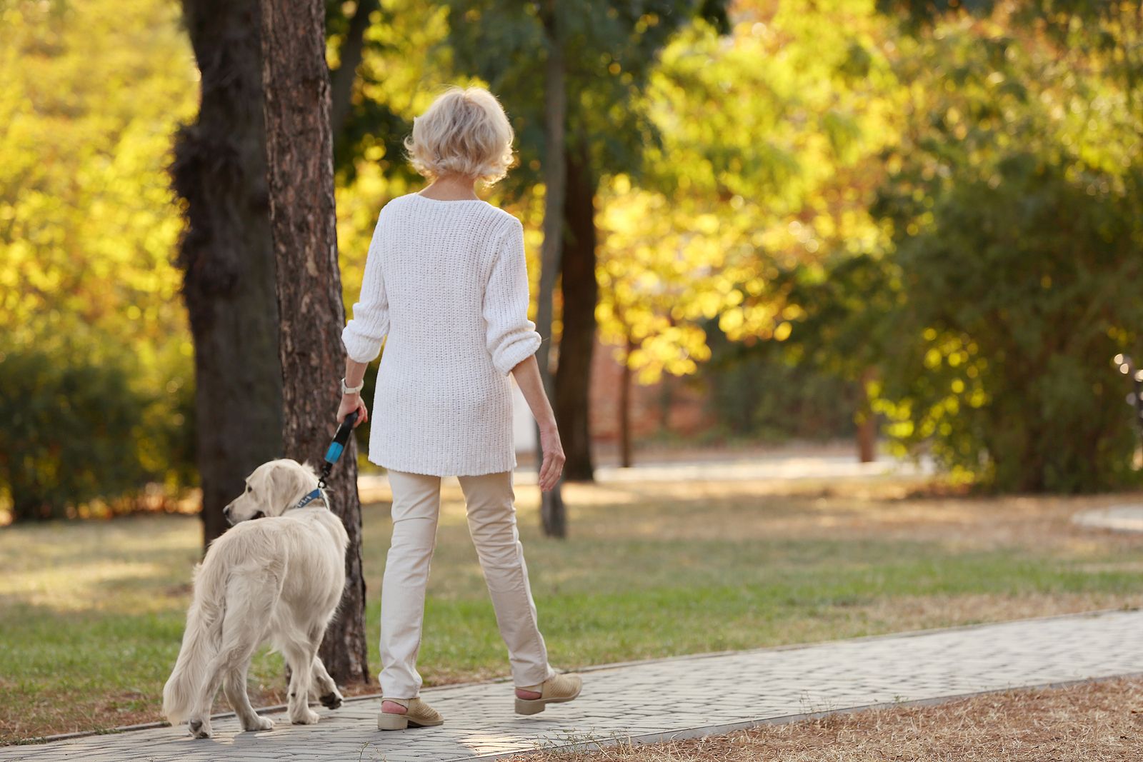 El olor del estrés humano afecta a las emociones de los perros (BigStock)