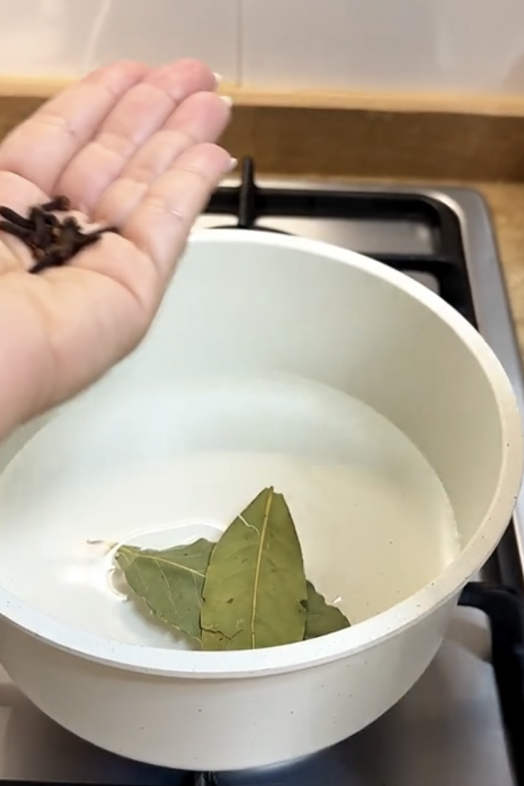 Con este infalible truco podrás ahuyentar a las hormigas en verano