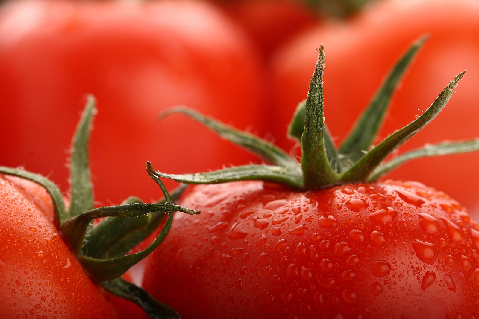 Los alimentos con más agua para hacer frente a la deshidratación en verano