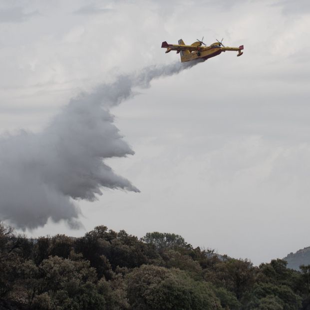 Los incendios forestales arrasan más 30.300 hectáreas en lo que va de año, casi la mitad que en 2023 (Europa Press)