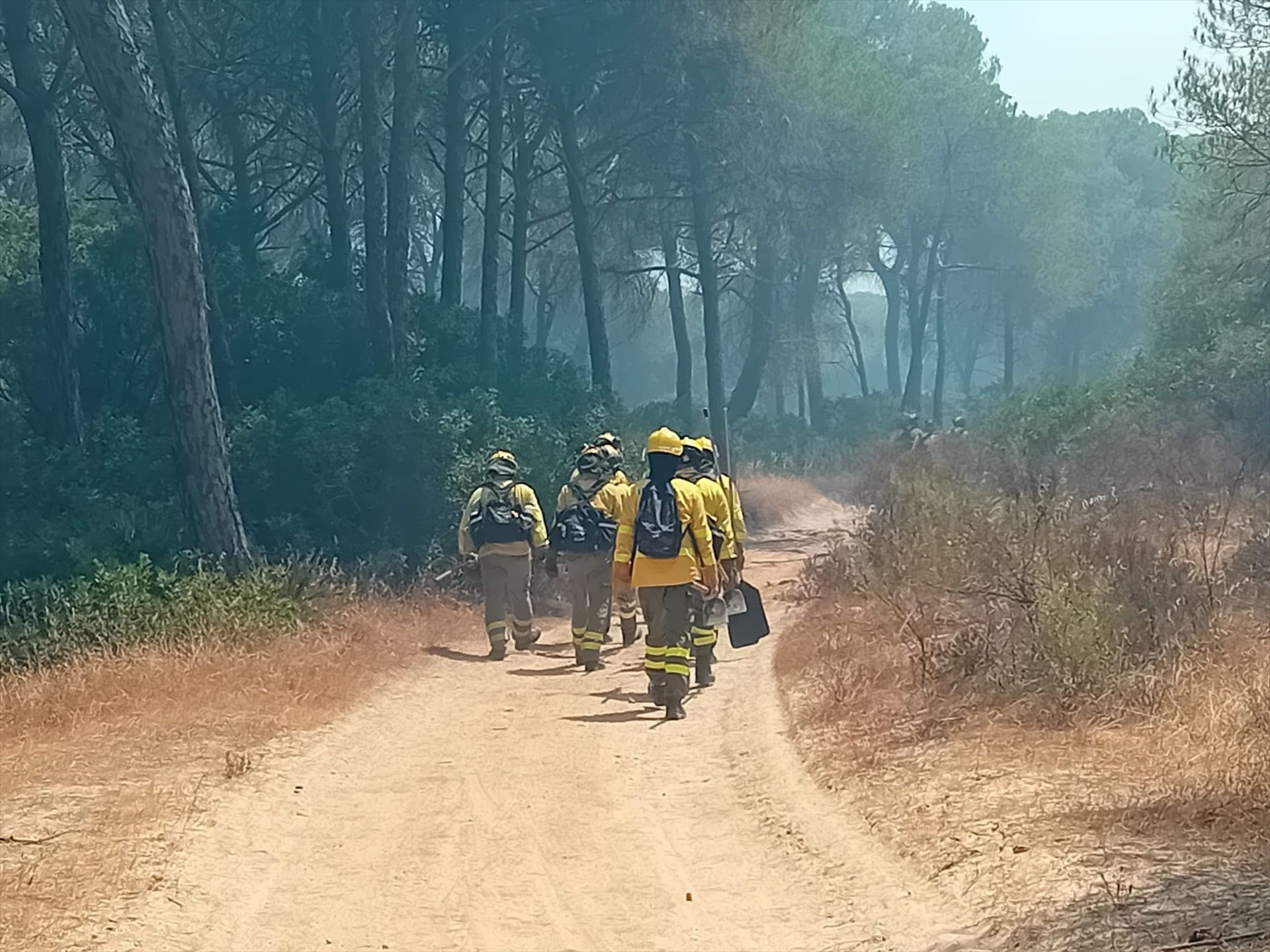 Cómo reclamar si has sido afectado por un incendio forestal