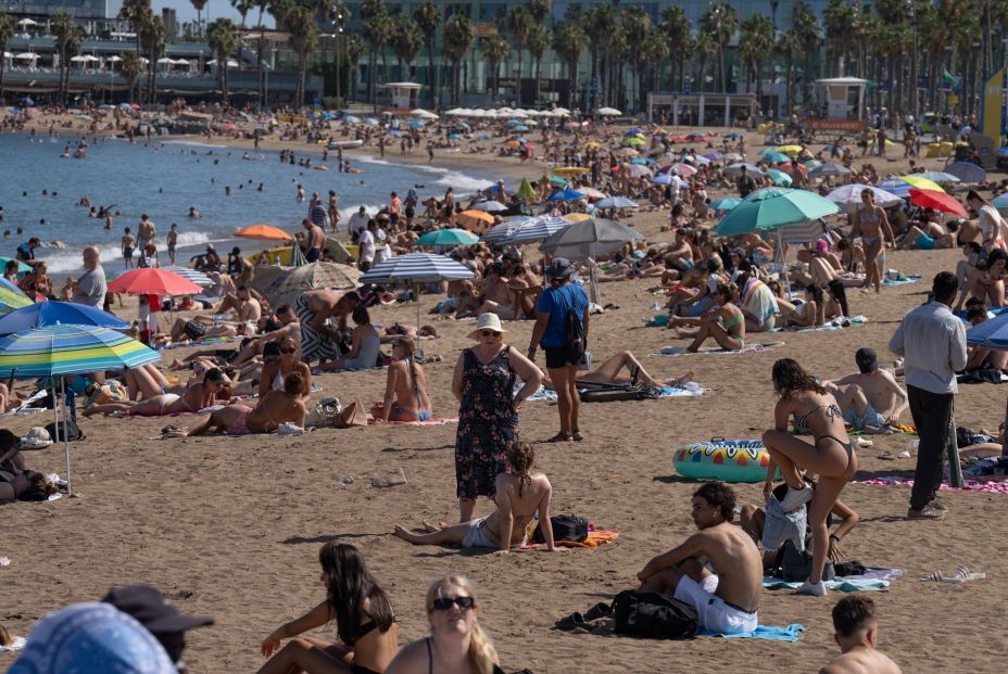 Alerta en las playas españolas por la presencia de este pez venenoso (Europa Press)