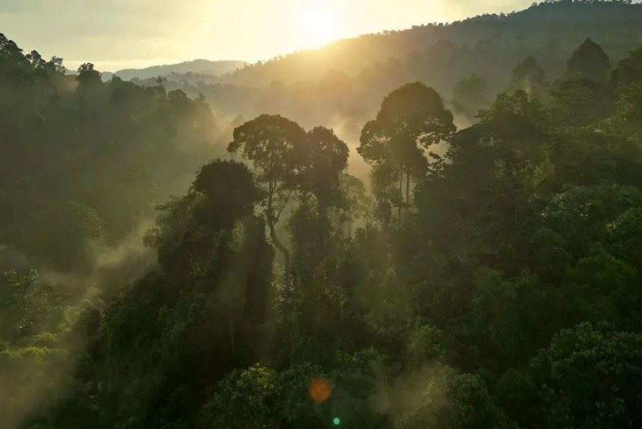 La Tierra puede tardar millones de años en recuperar el equilibrio climático (Europa Press)