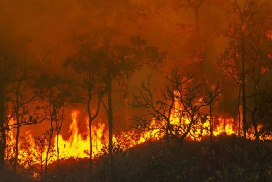 El cambio climático aumentó el riesgo de grandes incendios forestales en 2023. EuropaPress