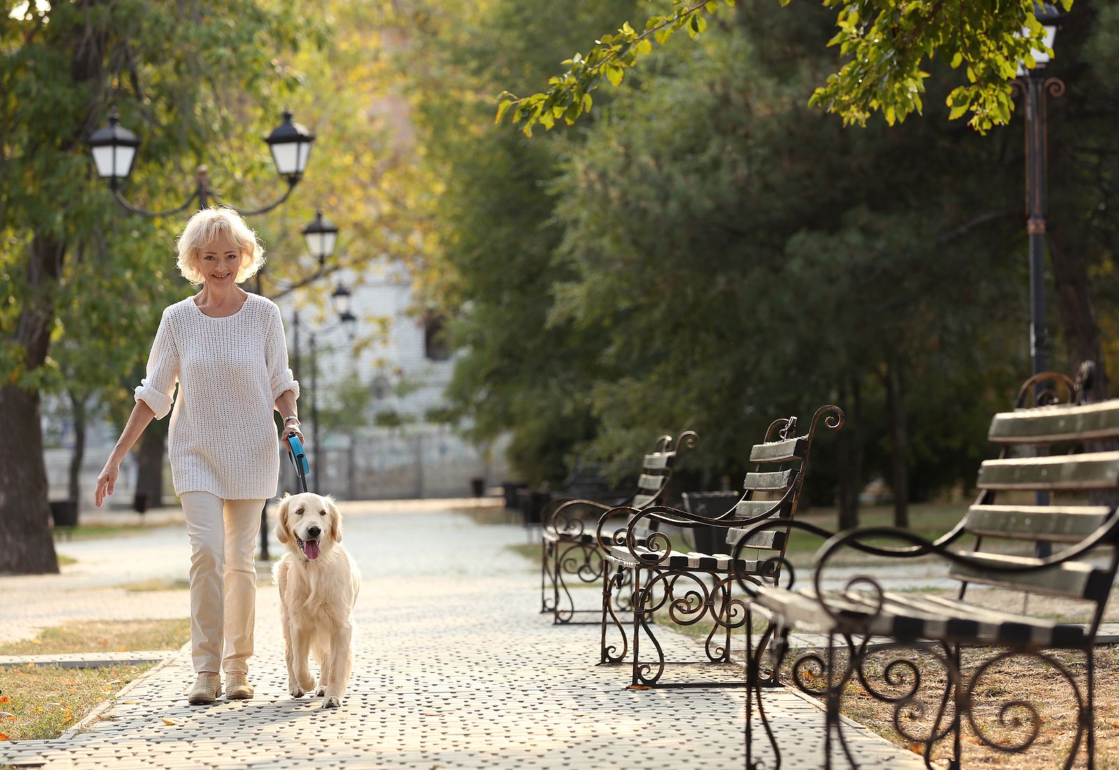 Estas son las horas en las que no deberías sacar a tu perro a pasear