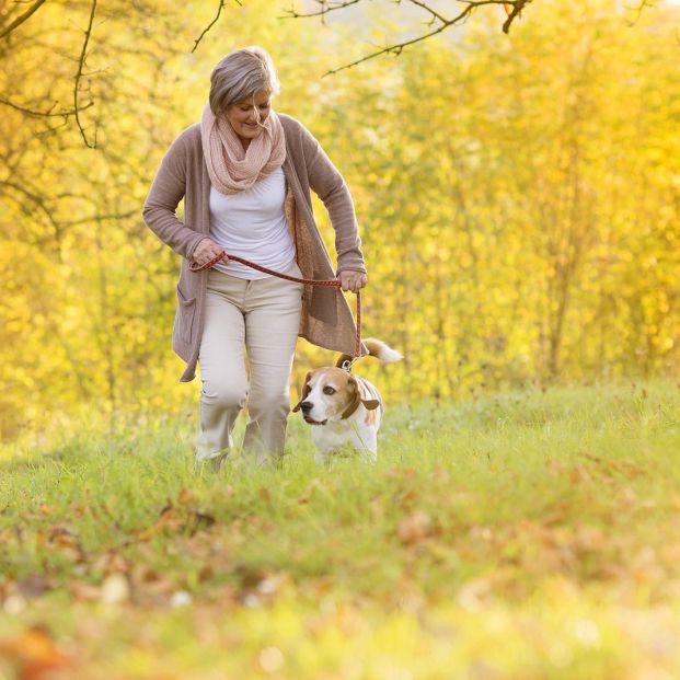 Estas son las horas a las que no deberías sacar a tu perro a pasear