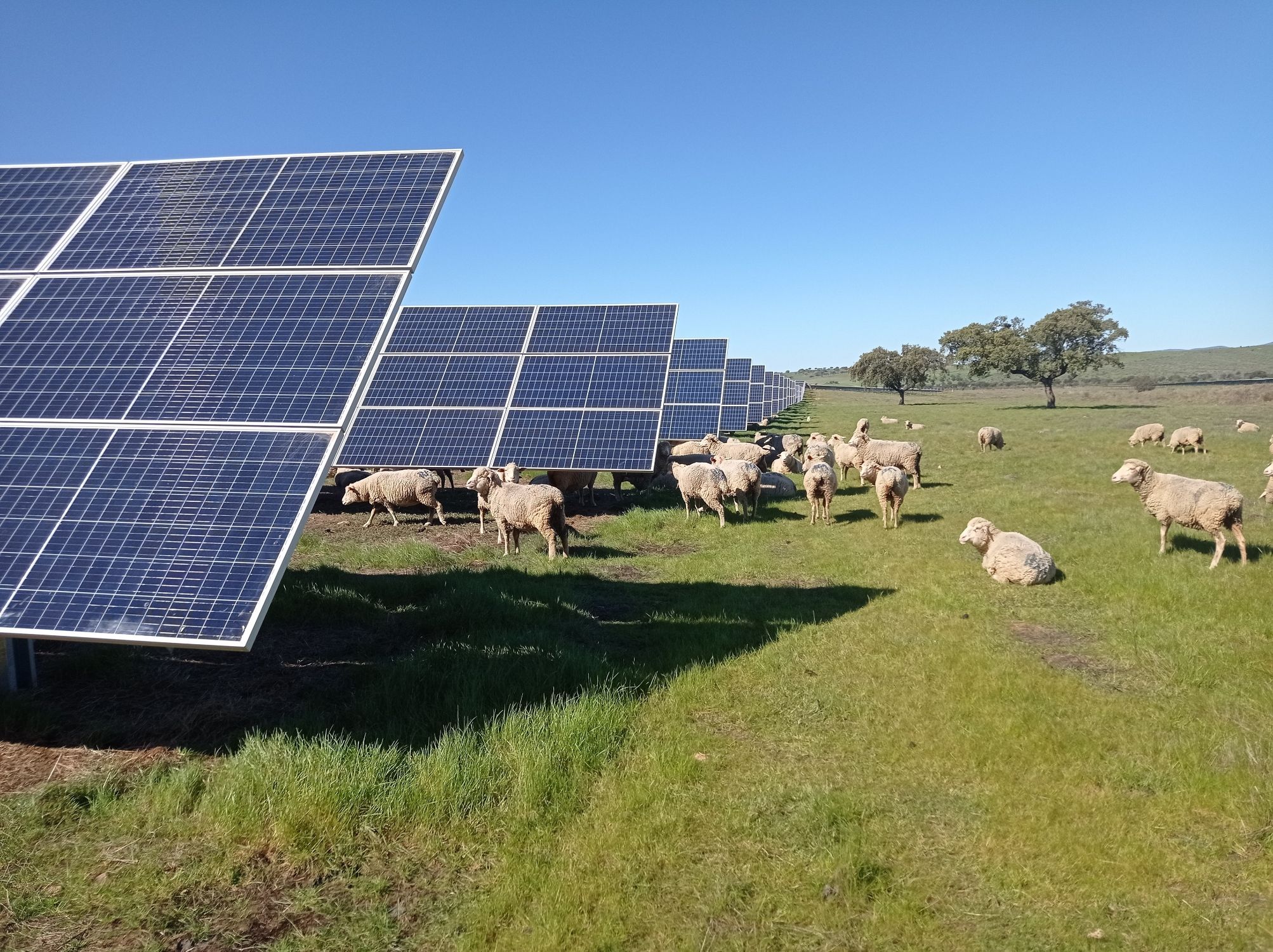 UNEF lanza el concurso Photovoltaica para dar a conocer la integración ambiental de la energía solar (Europa Press)